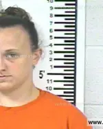 Booking photo of LINDSEY BROOKE BRAWLEY, Franklin County, Jul 15, 2013