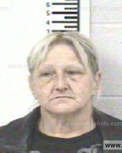 Booking photo of PAMELA SCOTT, Franklin County, Feb 7, 2013