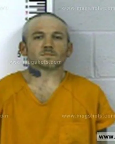 Booking photo of Honea Lee, Franklin County, Nov 8, 2017