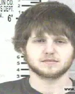 Booking photo of JAMIE COWAN SYLER, Franklin County, Mar 29, 2014