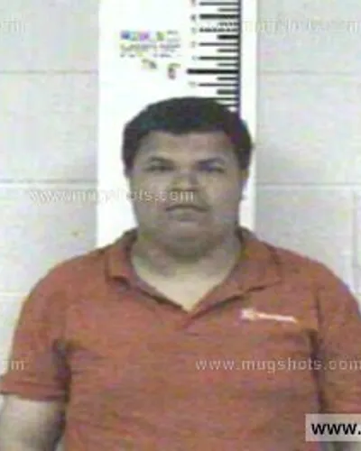 Booking photo of LANNIE HILLIS, Franklin County, Apr 30, 2013