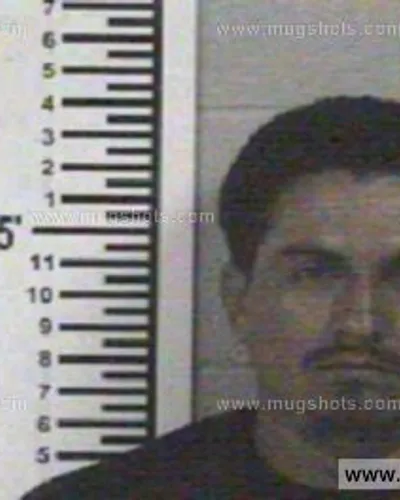Booking photo of SERGIO GONZALES, Franklin County, Jun 10, 2013