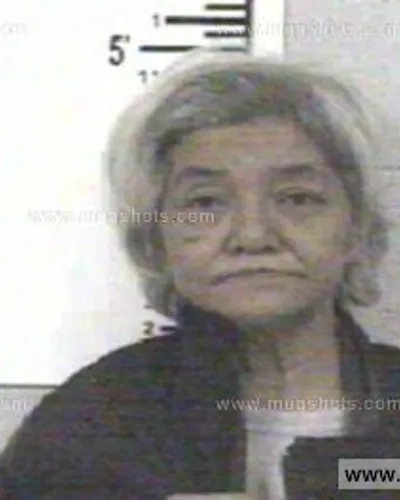 Most recent booking photo for DELORES TOPASNA THOMAS