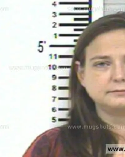 Booking photo of STEPHANIE SIMMONS/SNOW, Franklin County, Aug 23, 2013