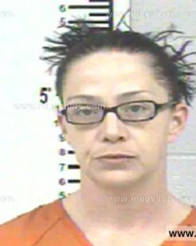 Booking photo of RACHEL ASHWORTH, Franklin County, Jan 27, 2014