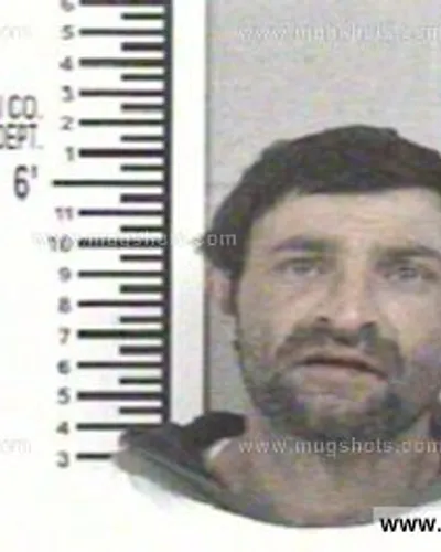 Booking photo of SHANNON MAHAFFEY, Franklin County, Feb 20, 2013