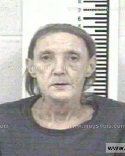 Booking photo of SHERRY DARLENE FORD, Franklin County, Dec 26, 2013