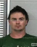 Booking photo of Hannah Jason Lee, Franklin County, Apr 1, 2017