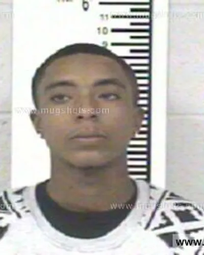 Most recent booking photo for Erica F Brown