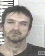 Booking photo of ROGER L JR YOUNG, Franklin County, Nov 21, 2013