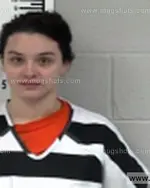 Booking photo of Statum Taylor Michelle, Franklin County, Jan 23, 2017