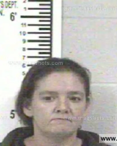 Booking photo of CANDY MICHELLE REESE, Franklin County, Feb 16, 2013