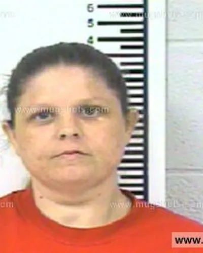 Booking photo of TAMMY DEE PARTIN, Franklin County, Aug 10, 2013