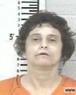 Booking photo of WENDY GERALDINE ROLLINS, Franklin County, May 31, 2014