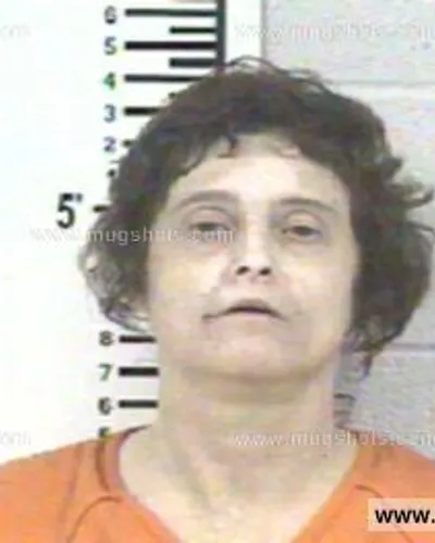 Booking photo of WENDY GERALDINE ROLLINS, Franklin County, May 31, 2014