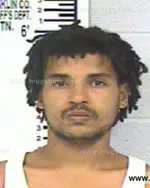 Booking photo of CHRISTOPHER BRANDON HOLMAN, Franklin County, Jul 11, 2013