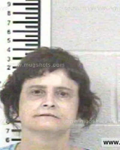 Booking photo of WENDY GERALDINE ROLLINS, Franklin County, May 26, 2014