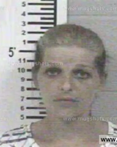 Booking photo of PAULA MECHELLE RUSSELL, Franklin County, Jun 8, 2013