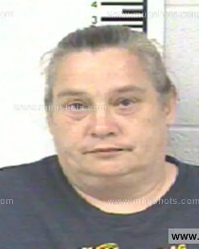 Booking photo of ANNA PARTIN, Franklin County, Jun 9, 2014