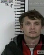 Booking photo of Williams Shay Lee, Franklin County, Jan 8, 2017