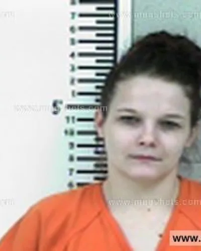 Booking photo of Smith Chaniece, Franklin County, Feb 7, 2017