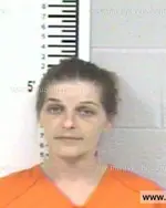 Booking photo of PAULA MECHELLE RUSSELL, Franklin County, May 4, 2013