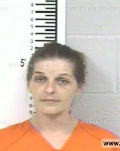 Booking photo of PAULA MECHELLE RUSSELL, Franklin County, May 4, 2013