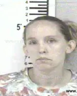 Booking photo of TOSHA NICOLE BOHANAN, Franklin County, May 25, 2013