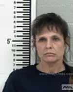 Booking photo of Bruner Tammy Lynn, Franklin County, Feb 3, 2017