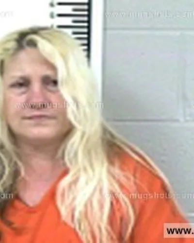 Booking photo of Conn Tonya Renee, Franklin County, May 6, 2017