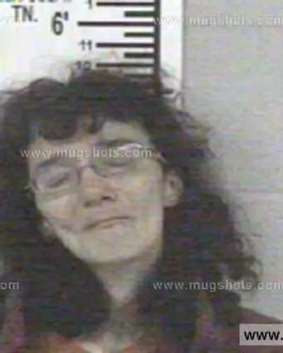 Booking photo of JOY DAWN PATTON, Franklin County, Apr 24, 2014