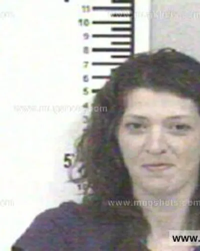 Booking photo of AMANDA RENEE THOMPSON, Franklin County, Jun 26, 2014