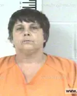 Booking photo of TAMMY RENEE STEELE, Franklin County, May 4, 2013