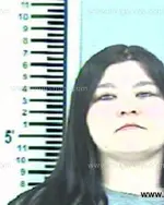 Booking photo of AMBER NORELLA TAYLOR, Franklin County, Apr 6, 2013