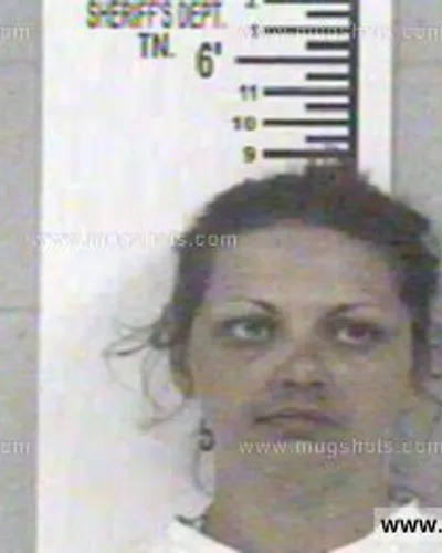 Booking photo of MEREODTH RICHARDSON, Franklin County, May 7, 2014