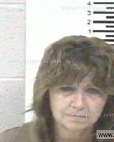 Booking photo of ROBYN ASHLEY, Franklin County, Jun 25, 2013