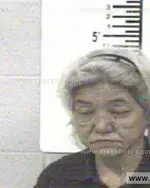 Booking photo of DELORES TOPASNA THOMAS, Franklin County, Apr 22, 2013