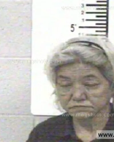 Booking photo of DELORES THOMAS, Franklin County, Apr 22, 2013