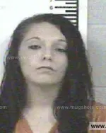 Booking photo of ANGELA RENEE SIMS, Franklin County, Nov 2, 2013