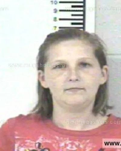 Booking photo of ANGELA BRYANT, Franklin County, Jan 28, 2013