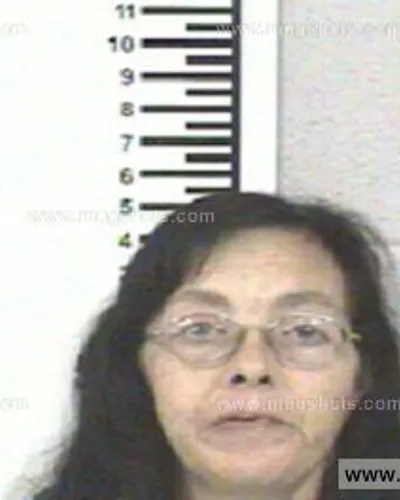 Booking photo of TIFFANY MARIE ELLIOTT, Franklin County, Nov 9, 2013