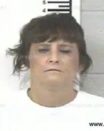 Booking photo of WENDY GERALDINE ROLLINS, Franklin County, Jan 25, 2014