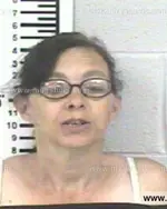 Booking photo of TIFFANY MARIE ELLIOTT, Franklin County, Jun 7, 2014