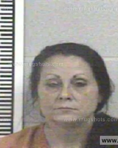 Booking photo of CYNTHIA LEE PHIPPS, Franklin County, May 5, 2014