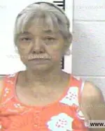 Booking photo of DELORES TOPASNA THOMAS, Franklin County, Oct 16, 2013