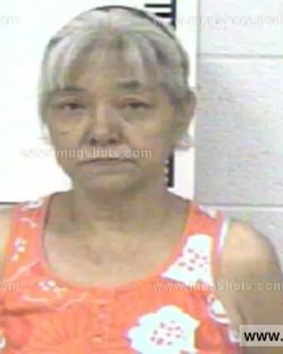 Booking photo of DELORES TOPASNA THOMAS, Franklin County, Oct 16, 2013