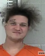 Booking photo of Zandona Michael Antonio, Franklin County, Feb 19, 2017