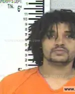 Booking photo of CHRISTOPHER BRANDON HOLMAN, Franklin County, Mar 25, 2014