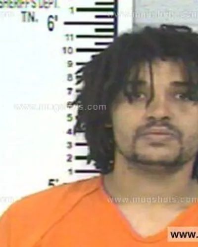 Booking photo of CHRISTOPHER BRANDON HOLMAN, Franklin County, Mar 25, 2014