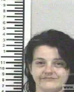 Booking photo of SOMMER MICHELE STAFFORD, Franklin County, Jun 20, 2013